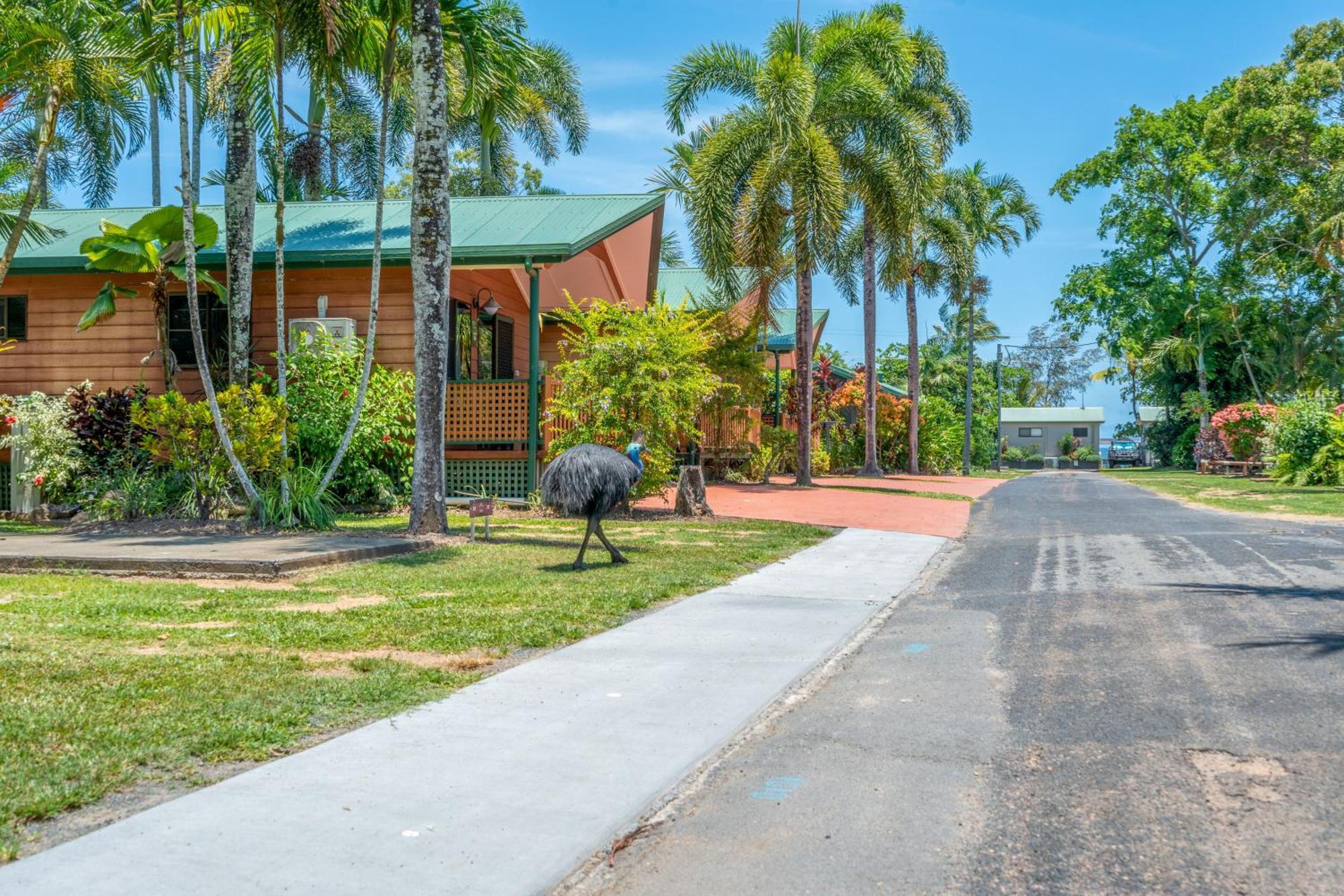Big4 Tasman Holiday Parks - South Mission Beach Екстер'єр фото